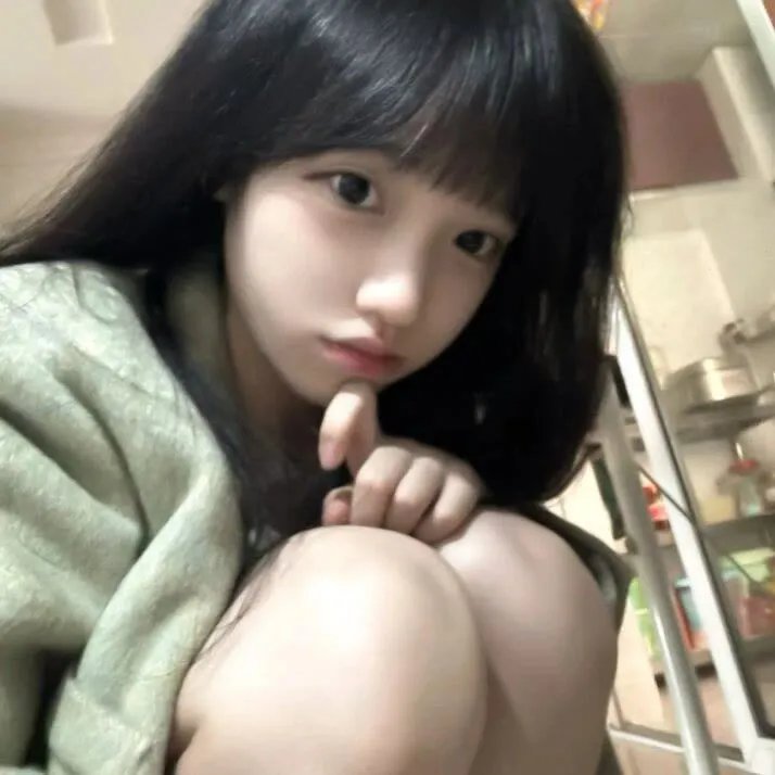 科搜研之女第23季